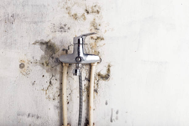 Trusted Byng, OK Mold Removal Experts