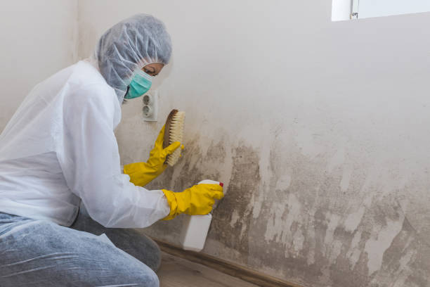 Best Local Mold Removal Service  in Byng, OK