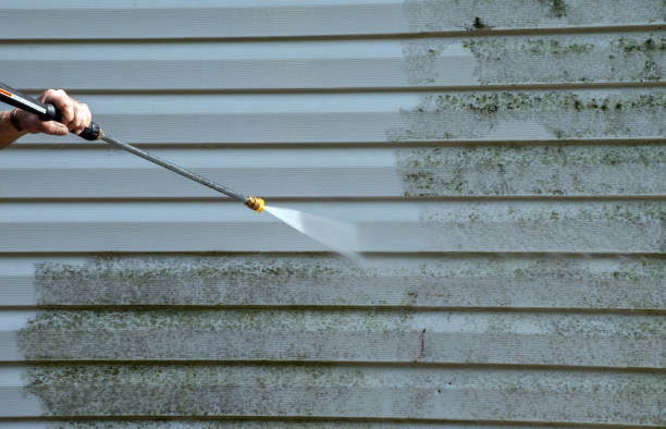 Best Certified Mold Removal  in Byng, OK