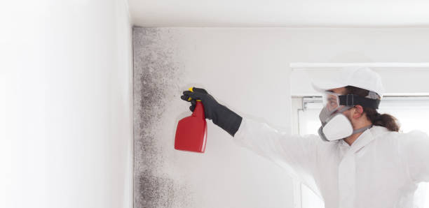 Best Mold Testing  in Byng, OK