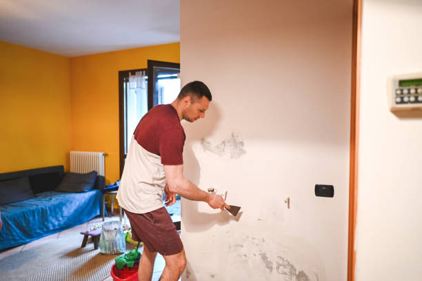 Best Residential Mold Removal  in Byng, OK
